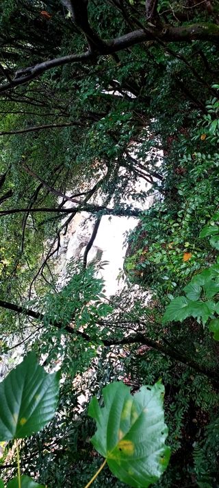 안재성님의 자유주제 · 사진전 작성글 사진