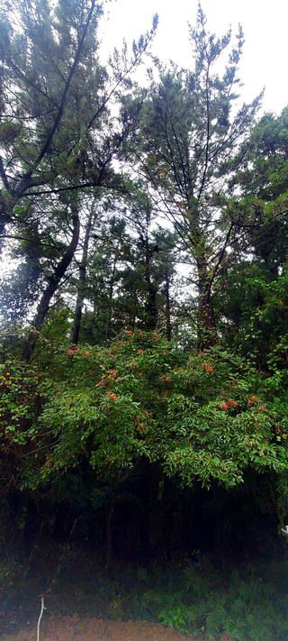 안재성님의 자유주제 · 사진전 작성글 사진