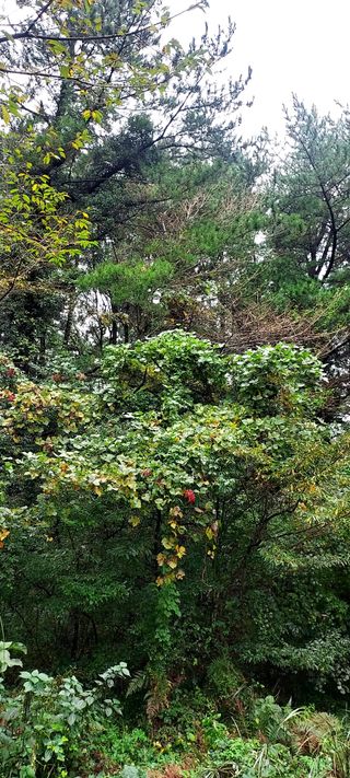 안재성님의 자유주제 · 사진전 작성글 사진