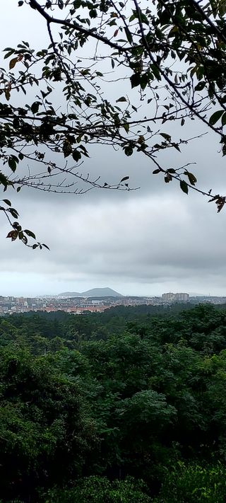 안재성님의 자유주제 · 사진전 작성글 사진
