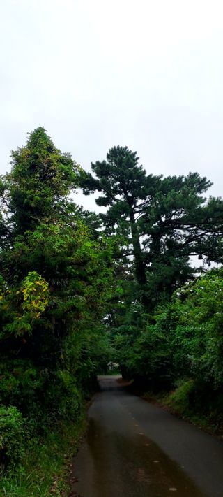 안재성님의 자유주제 · 사진전 작성글 사진