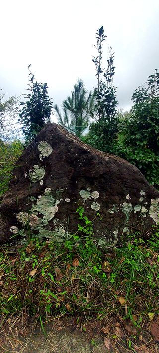 안재성님의 자유주제 · 사진전 작성글 사진
