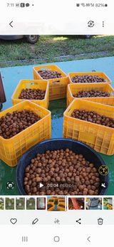 팜모닝 기타작물·영농일지 게시글 이미지