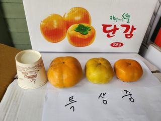 김육환님의 작성글 사진