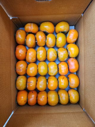 김육환님의 작성글 사진