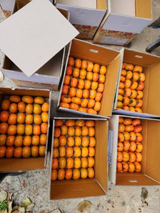 김육환님의 작성글 사진