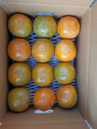 김육환님의 작성글 사진