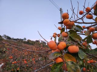 김육환님의 작성글 사진