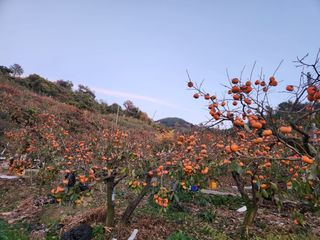 김육환님의 작성글 사진