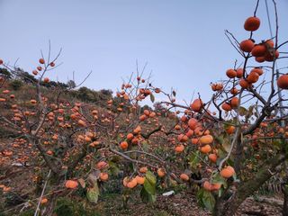 김육환님의 작성글 사진