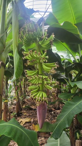 오영상님의 기타작물 · 영농일지 작성글 사진