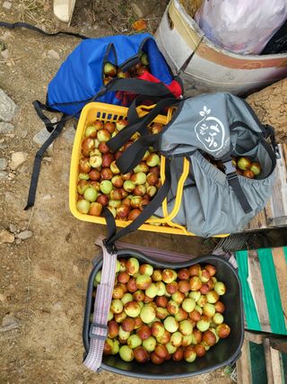 김희철님의 기타작물 · 영농일지 작성글 사진