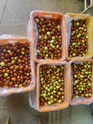 김형순님의 자유주제 · 자유게시판 작성글 사진