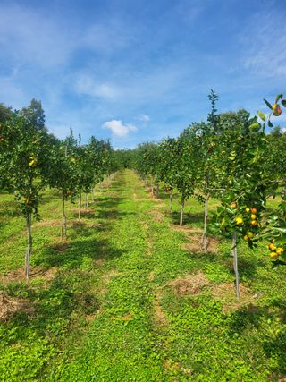 김형순님의 자유주제 · 자유게시판 작성글 사진