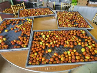 김형순님의 자유주제 · 자유게시판 작성글 사진