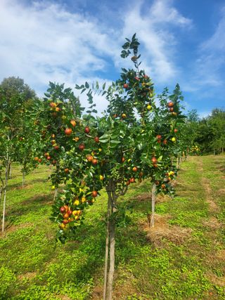 김형순님의 자유주제 · 자유게시판 작성글 사진
