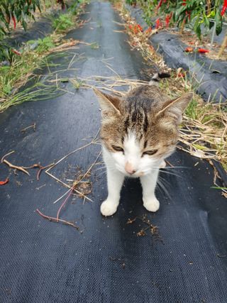 선암농군님의 자유주제 · 사진전 작성글 사진