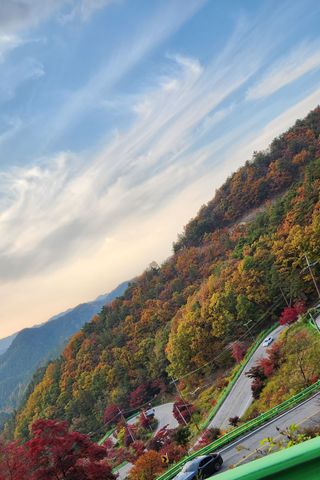 박희영님의 우리동네 가을단풍 자랑하기 · 참여글 작성글 사진