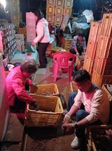 팜모닝 고구마·영농일지 게시글 이미지