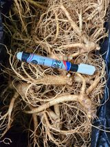 팜모닝 · 게시글 이미지