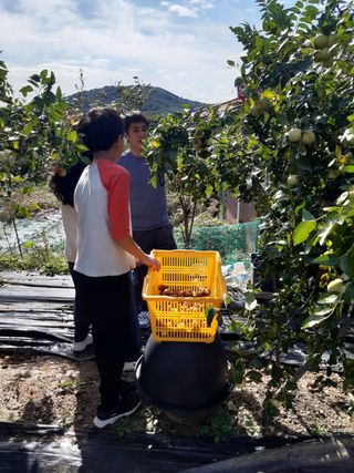 강판술님의 기타작물 · 영농일지 작성글 사진
