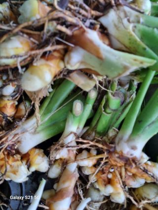 태ㅡㅡ양님의 자유주제 · 자유게시판 작성글 사진