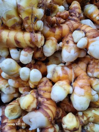 태ㅡㅡ양님의 자유주제 · 자유게시판 작성글 사진