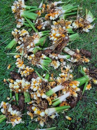 태ㅡㅡ양님의 자유주제 · 자유게시판 작성글 사진