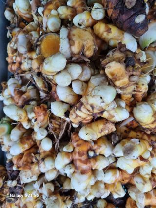 태ㅡㅡ양님의 자유주제 · 자유게시판 작성글 사진