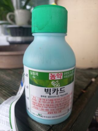 박웅님의 자유주제 · 자유게시판 작성글 사진