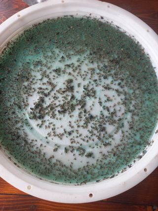 박웅님의 자유주제 · 자유게시판 작성글 사진