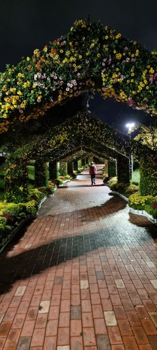 김길수님의 자유주제 · 자유게시판 작성글 사진