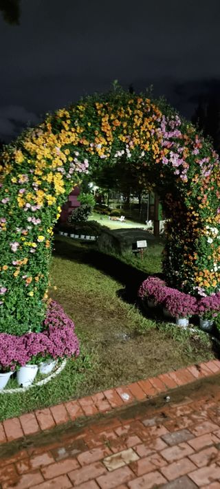 김길수님의 자유주제 · 자유게시판 작성글 사진