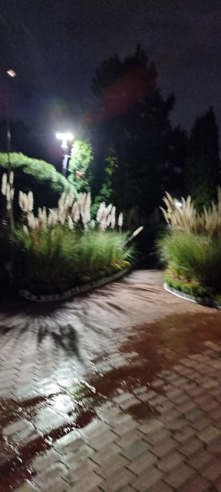 김길수님의 자유주제 · 자유게시판 작성글 사진