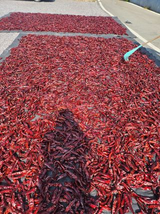 김연후님의 자유주제 · 자유게시판 작성글 사진