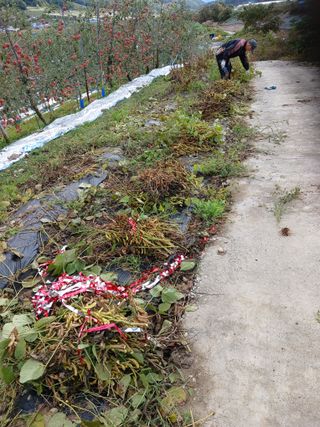 알 수 없음님의 자유주제 · 자유게시판 작성글 사진