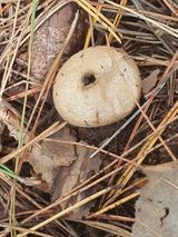 팜모닝 자유주제·자유게시판 게시글 이미지