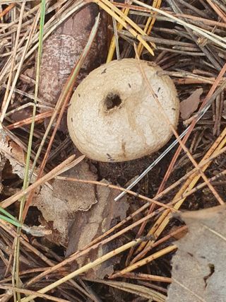 김철원,바람산인님의 자유주제 · 자유게시판 작성글 사진
