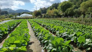 최재을님의 자유주제 · 자유게시판 작성글 사진