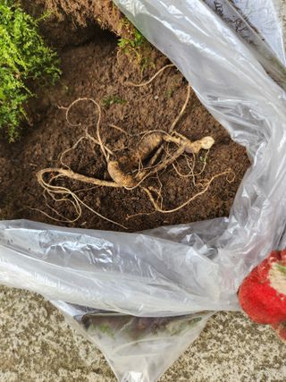 윤미선(농경채인증님의 자유주제 · 자유게시판 작성글 사진