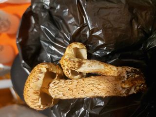 이용해님의 자유주제 · 자유게시판 작성글 사진