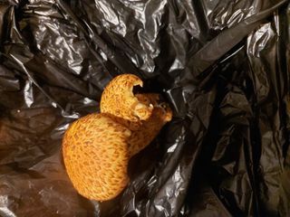 이용해님의 자유주제 · 자유게시판 작성글 사진