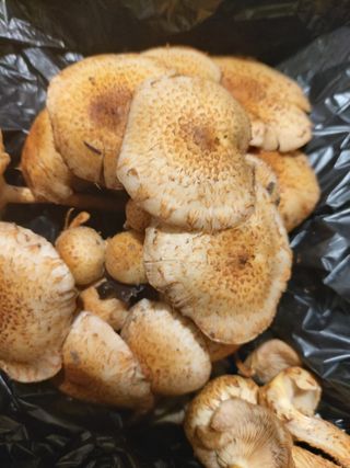 이용해님의 자유주제 · 자유게시판 작성글 사진