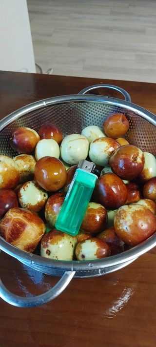 이일철 (조이산골)님의 자유주제 · 자유게시판 작성글 사진