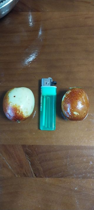 이일철 (조이산골)님의 자유주제 · 자유게시판 작성글 사진