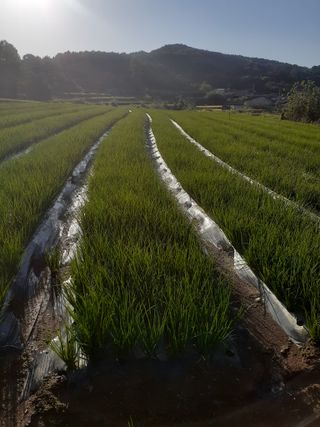 황석면님의 작성글 사진