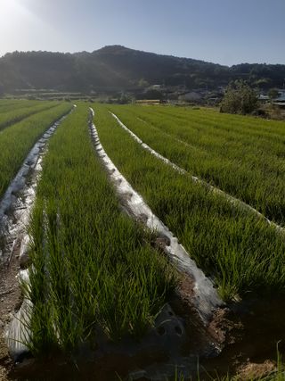 황석면님의 작성글 사진