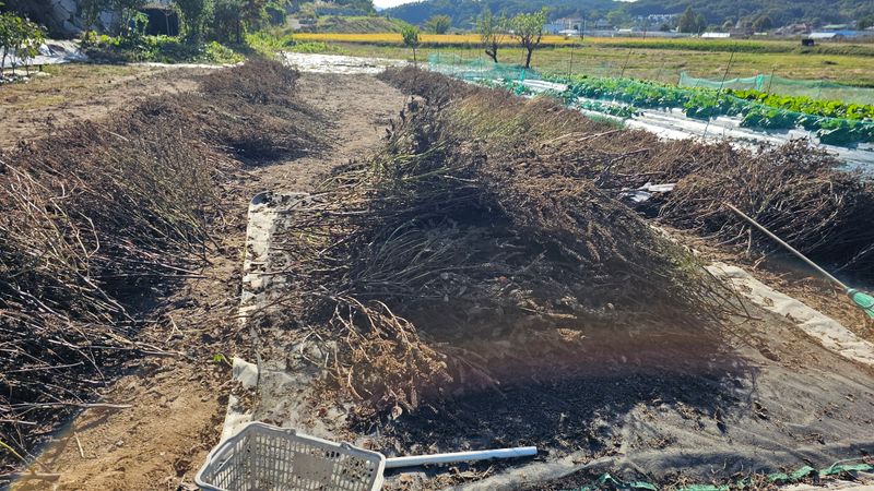 장터 상품 [판매완료] 썸네일