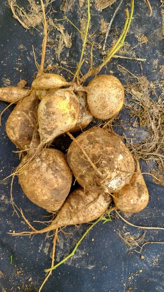 초보님의 자유주제 · 자유게시판 작성글 사진