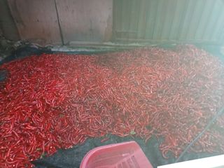 오영도님의 자유주제 · 자유게시판 작성글 사진